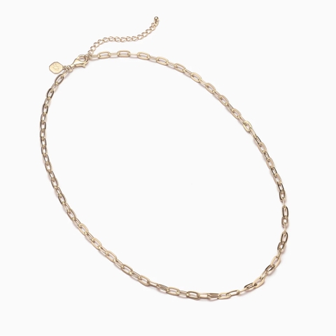 Dây chuyền trơn - Dạng xích 17