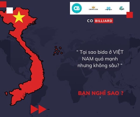 BIDA VIỆT NAM: PHÁT TRIỂN MẠNH… NHƯNG KHÔNG SÂU
