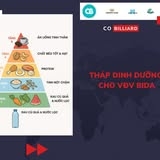 THÁP DINH DƯỠNG CHUẨN CHO VẬN ĐỘNG VIÊN BIDA