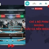 TẠI SAO CHỈ 1 BỘ PHIM LẠI CỨU CẢ NỀN BIDA MỸ ?
