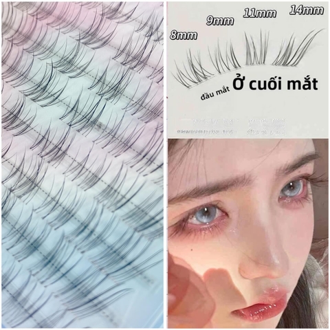 Mi giả ko keo LG6070