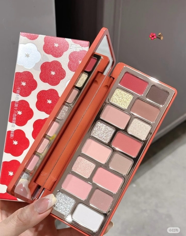 Phấn mắt Cheeryep 16 ô - MÀU 12