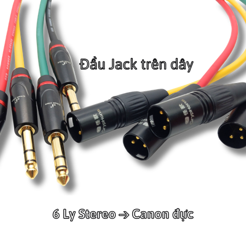 Dây canon Đực ra 6 Ly Stereo