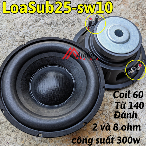 LoaSub25sw10 - 1 Cái