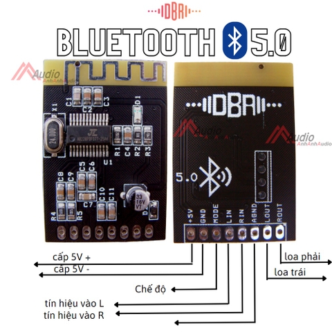 Mạch Bluetooth 5.0 DBR tiếng hay sóng 30 mét không vật cản , bh 12 tháng