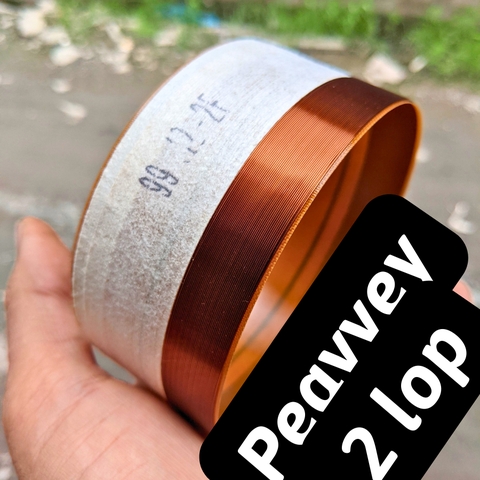 Coil 99.2 Peavey 2 Lớp