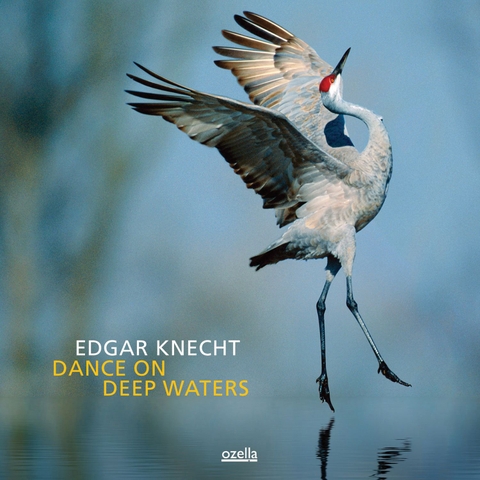 Đĩa LP EDGAR KNECHT - DANCE ON DEEP WATERS