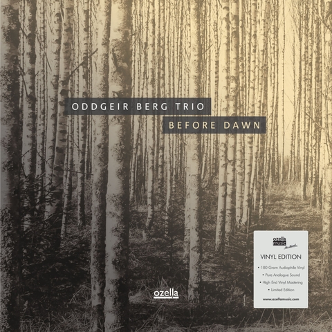 ODDGEIR BERG Trio - Before Dawn