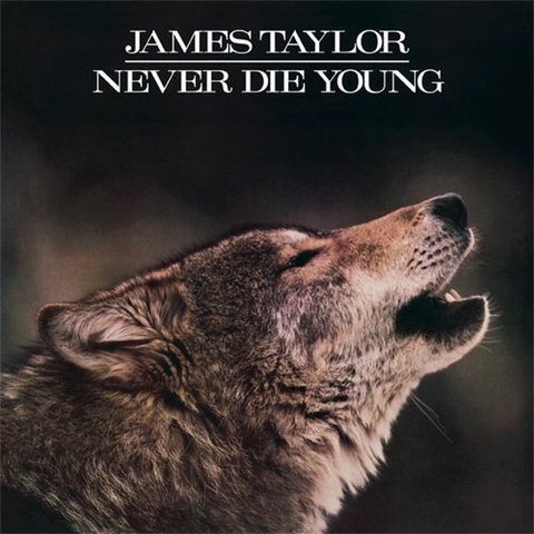 Đĩa LP James Taylor - Never Die Young 180g