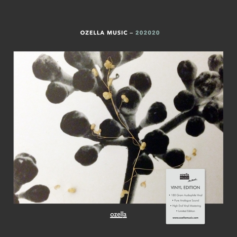 TOM ARTHURS Trio - One Year