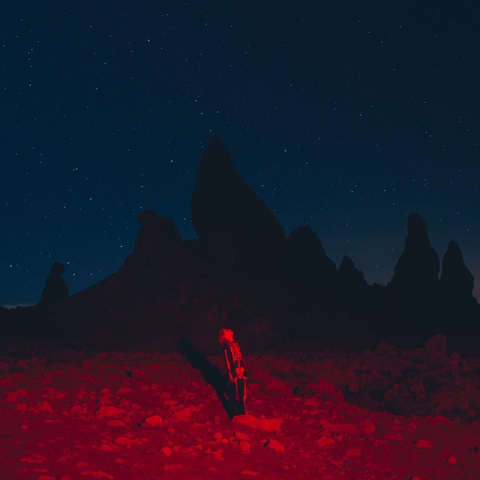 PHOEBE BRIDGERS - PUNISHER