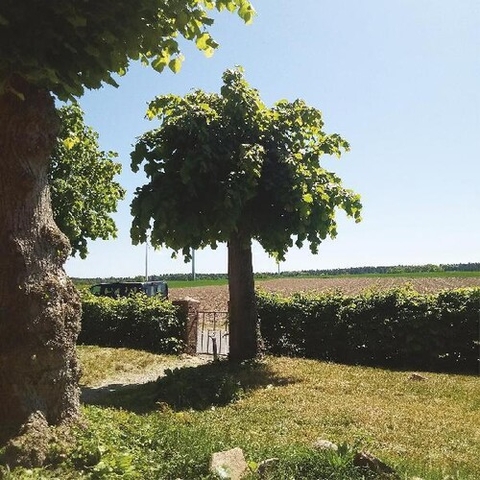 Sigtryggur Berg Sigmarsson - Into The Second Half