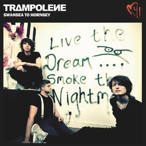 Trampolene - Swansea To Hornsey (Colored Vinyl, Red, Anniversary Edition)