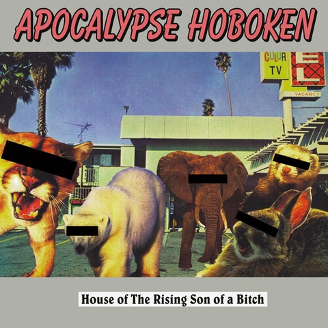Apocalypse Hoboken - House of The Rising Son of A Bitch - SILVER (Colored Vinyl, Silver)