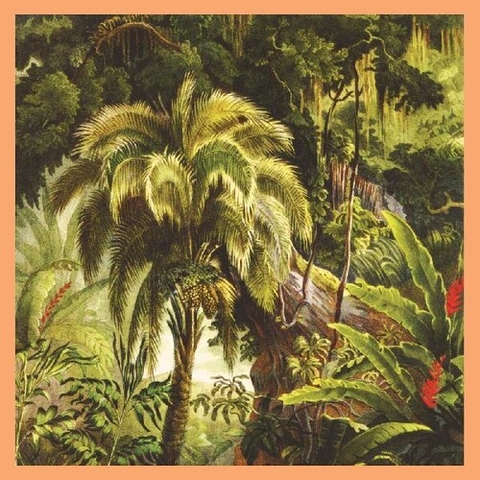 Xiu Xiu - La Foret - Sunset Swirl Vinyl [Import] (Colored Vinyl, United Kingdom - Import)