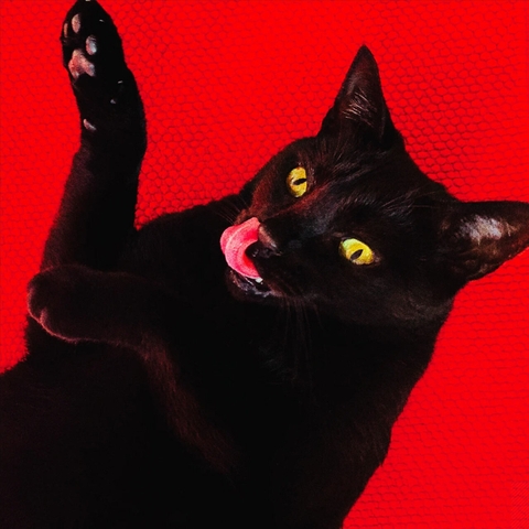 Đĩa LP Ryan Adams - Big Colors LP (Red Vinyl) & 45rpm 7' Vinyl Single