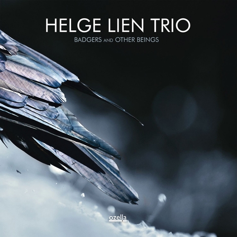 vinyl  Helge Lien Trio ‎– Badgers And Other Beings