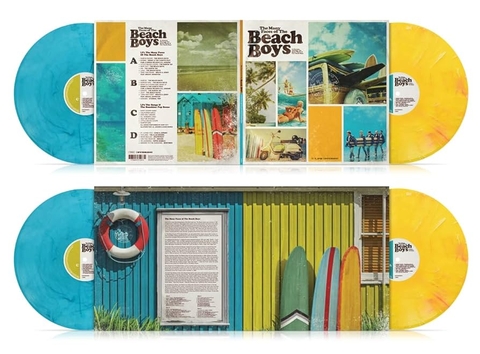 vinyl Many Faces Of Beach Boys ( 2 LP ,Coloured vinyls )