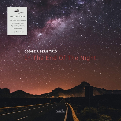 ODDGEIR BERG TRIO  - In The End Of The Night
