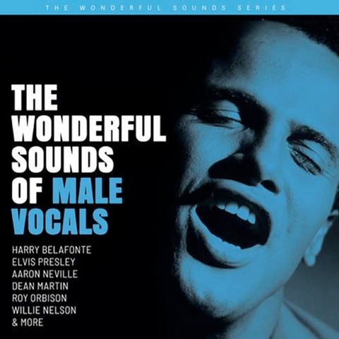 vinyl The Wonderful Sounds Of Male Vocals (200g , 2LP)