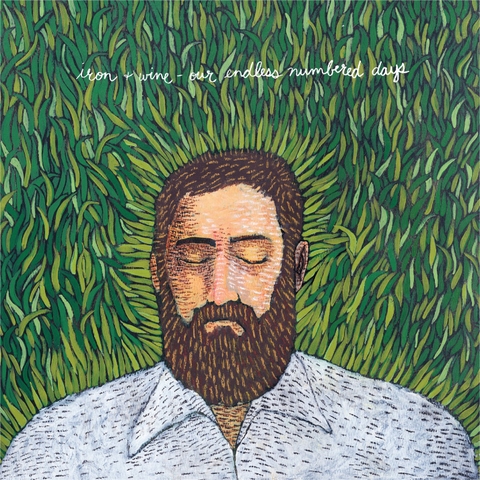 vinyl IRON & WINE - our endless numbered days