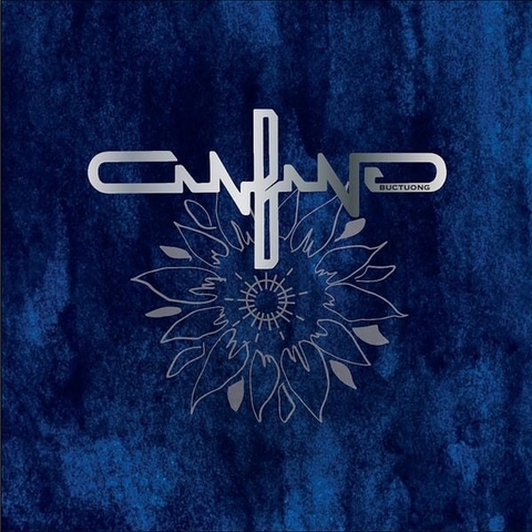 ĐĨA CD BỨC TƯỜNG - CÂN BẰNG