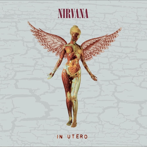 In Utero (30th Anniversary)