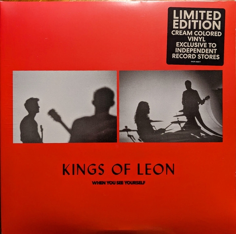 Đĩa LP Kings of Leon - When You See Yourself (2LP)