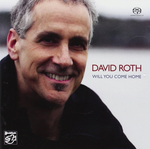Đĩa LP David Roth - Will You Come Home (2 LP, 45 RPM)