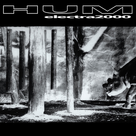 Hum Electra 2000 180g 45rpm 2LP
