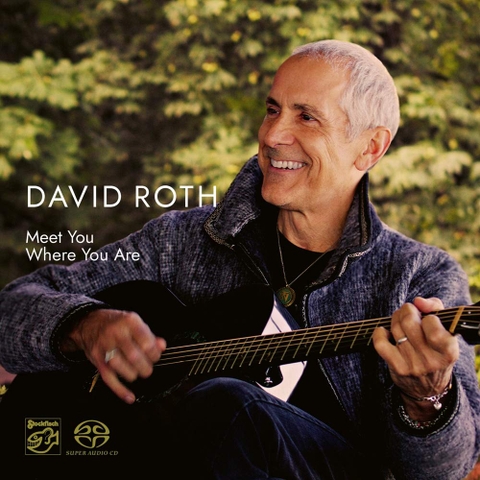 Đĩa LP David Roth - Meet You Where You Are