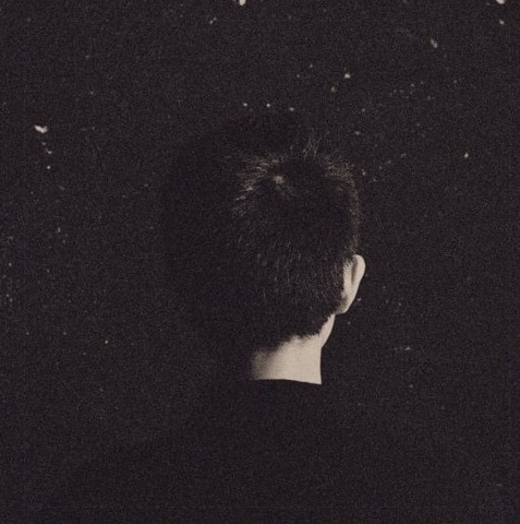 ĐĨA CD LÊ CÁT TRỌNG LÝ - CÂY LẶNG GIÓ NGỪNG