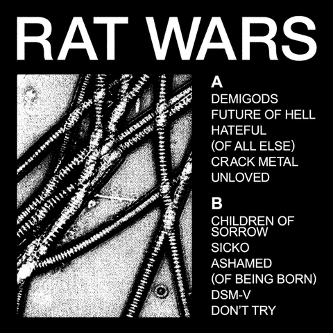 HEALTH - RAT WARS