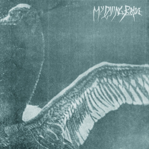 My Dying Bride Turn Loose the Swans 30th Anniversary Edition LP (Marble Effect Vinyl)