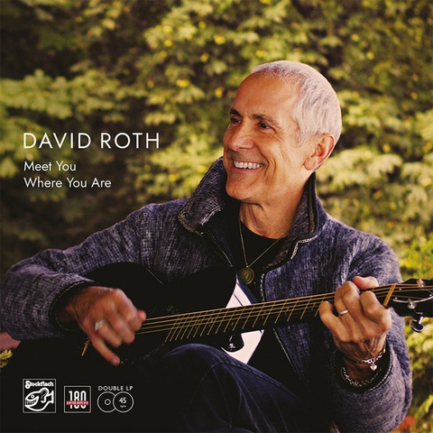 David Roth - Meet You Where You Are 45rpm 2*LP