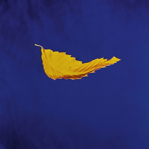 New Order True Faith 45rpm 12