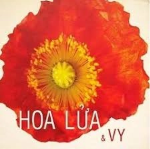 ĐĨA CD HOA LỬA & VY