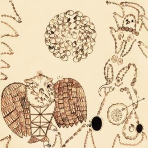 Devendra Banhart Rejoicing in the Hands / Nino Rojo 2LP