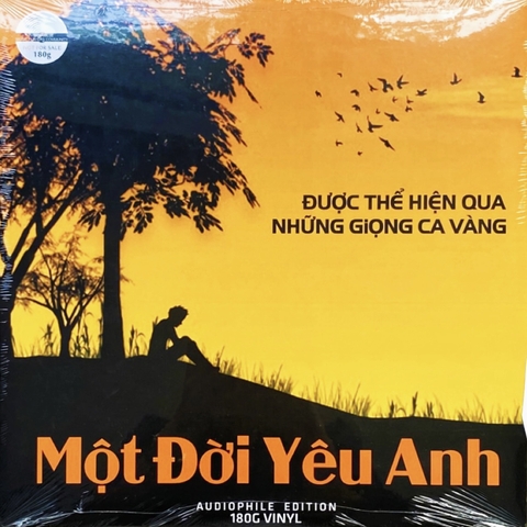 Nhiều ca sĩ - Một đời yêu anh