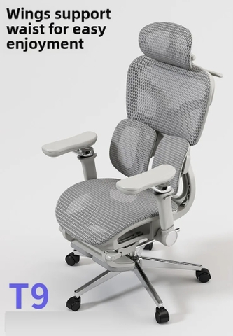 [Order] Ghế công thái học Ztra T9