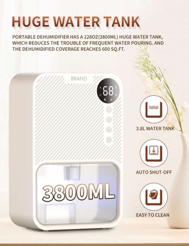 Máy hút ẩm dehumidifier