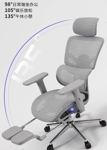 [Order] Ghế công thái học Ztra SG030