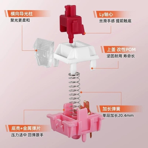 [Instock] Switch công tắc bàn phím cơ KIKI switch (Tặng hũ đựng)