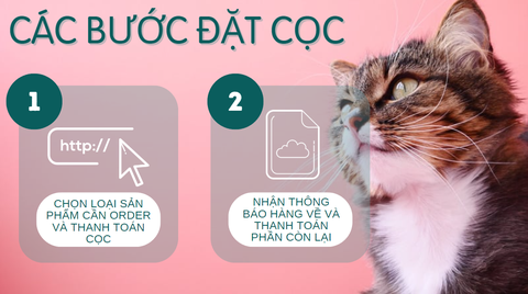 ViewSonic VX2758 2k Pro 3