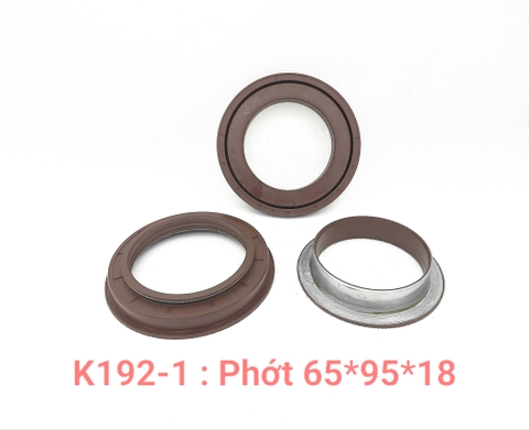 Phớt kép 65*95*18