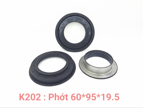 Phớt kép 60*95*19.5