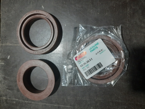 BQ3210G - Phớt 52*85*20