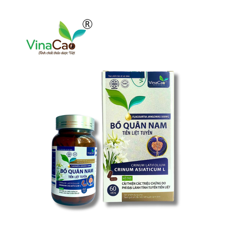 Bồ quân nam - Tiền liệt tuyến Vinacao