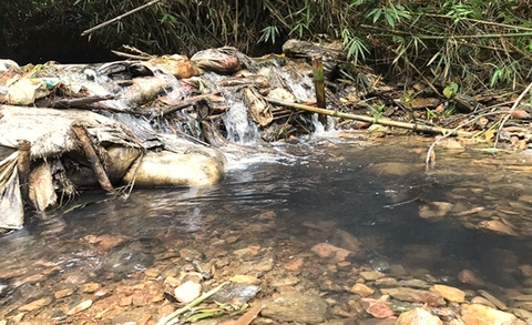 Phát tiển, tối ưu các thiết bị tách lọc dầu cho ngành điện và ngành xăng dầu