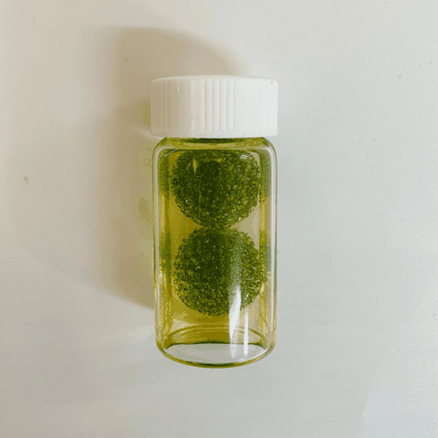 Nước Rửa Nhíp Clean Tweezers